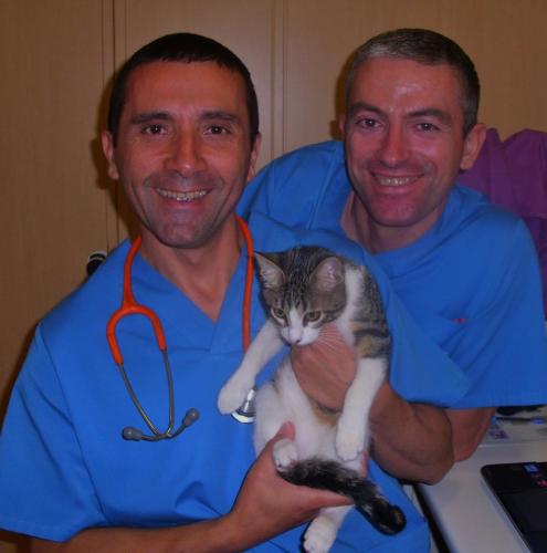 GRACIA VETERINARIS