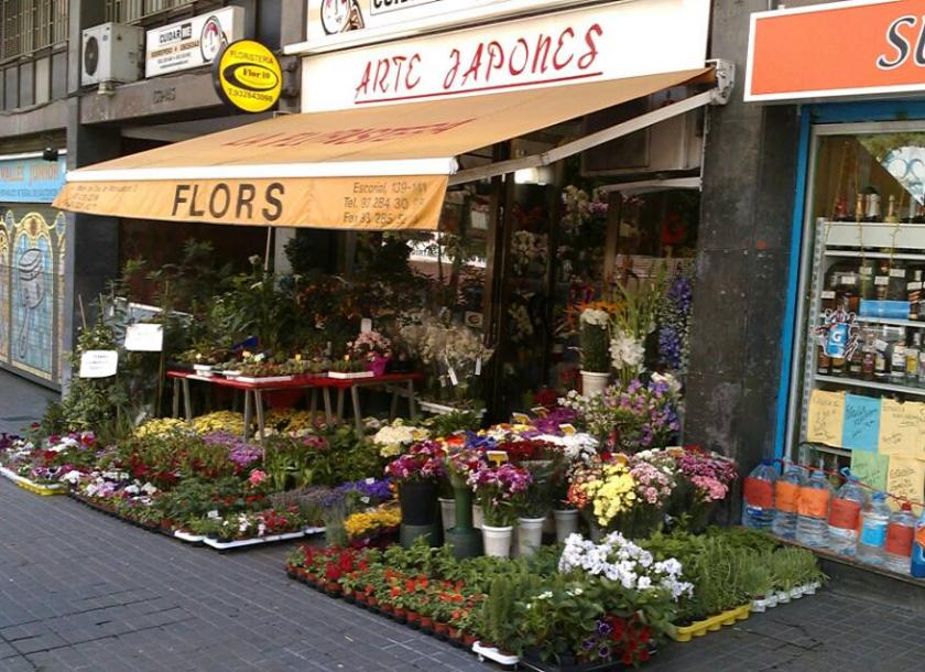 Arte Japones FLORISTERIA