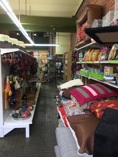 BUF Perruqueria Canina i Felina