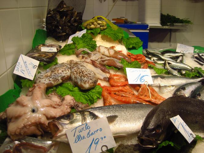 Peix Fresc i Marisc NATI