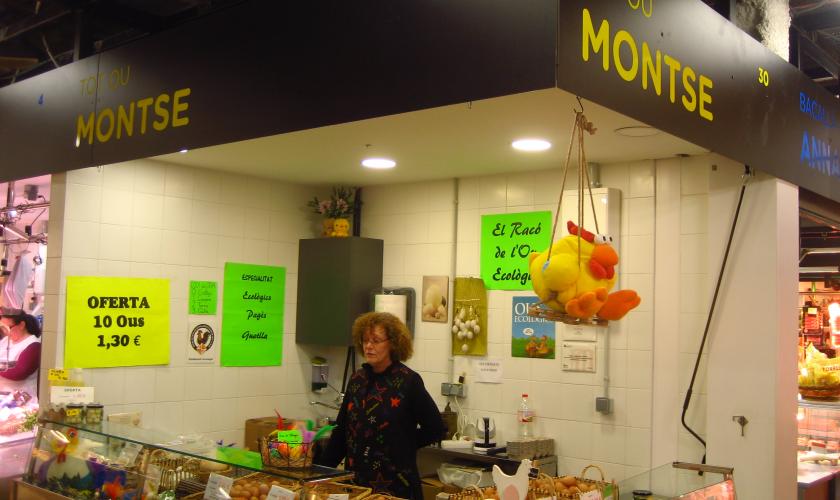 TOT OU MONTSE