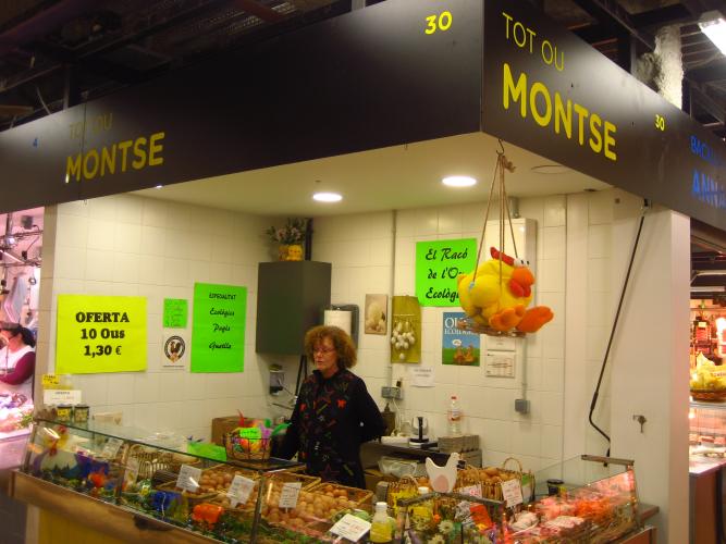 TOT OU MONTSE