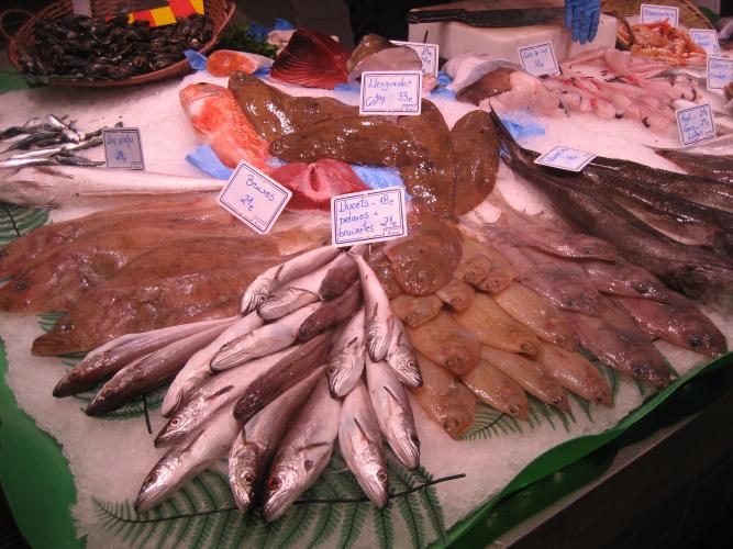 Peixeteria NOIS DE BADALONA