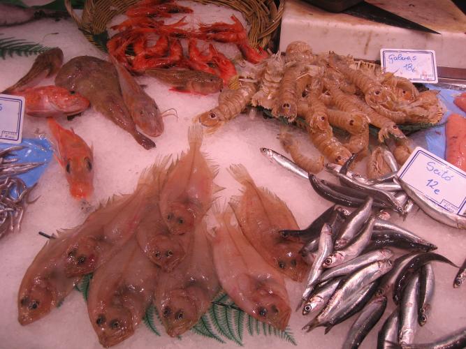 Peixeteria NOIS DE BADALONA