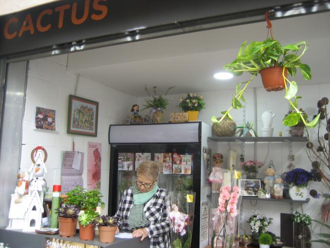 FLORISTERIA CACTUS