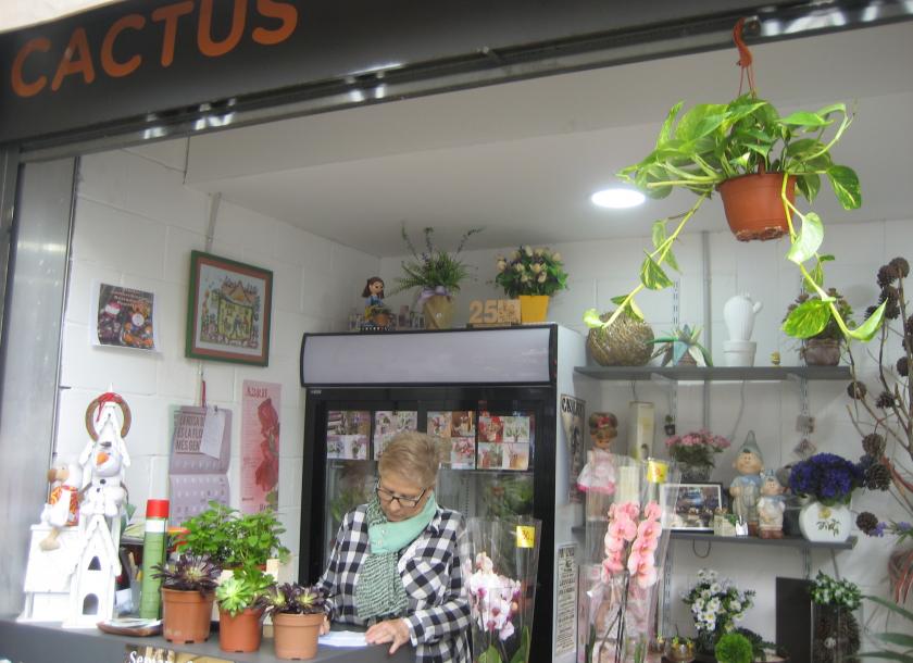 FLORISTERIA CACTUS