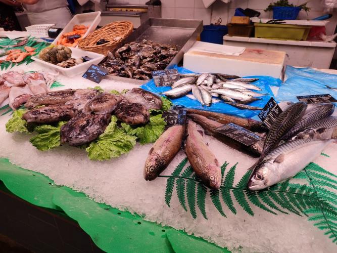 PEIX FRESC I MARISC ISABEL