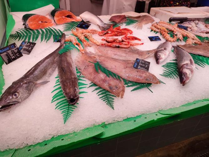PEIX FRESC I MARISC ISABEL