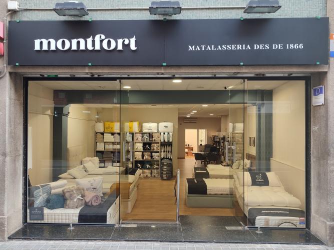 MONTFORT MATALASSERIA