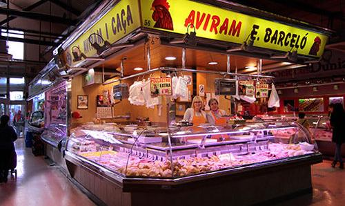 AVIRAM BARCELO