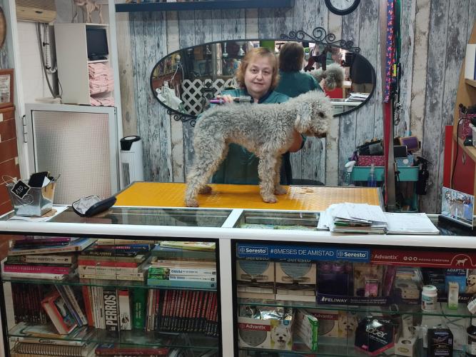 CA LA TARA. Perruqueria canina